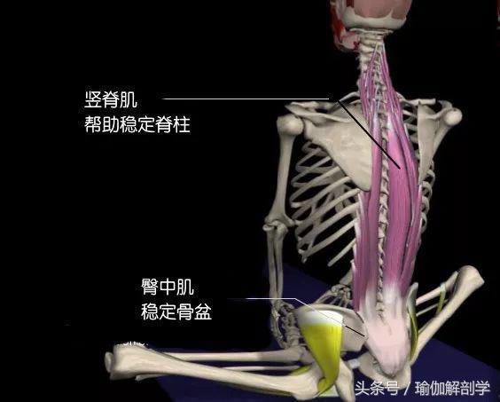 有效缓解经期疼痛的瑜伽束角式你做米乐官方平台对了吗？(图4)