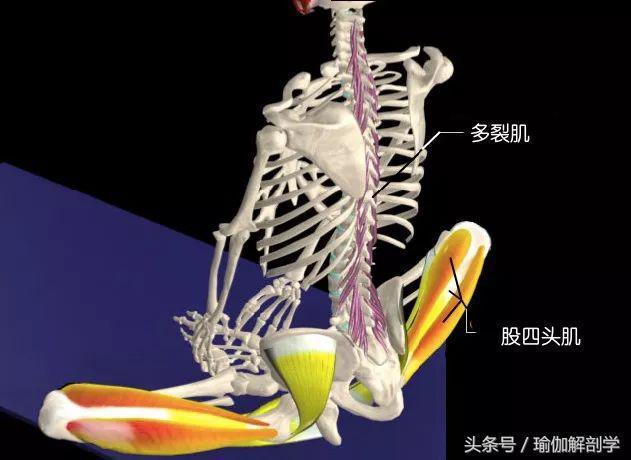 有效缓解经期疼痛的瑜伽束角式你做米乐官方平台对了吗？(图7)